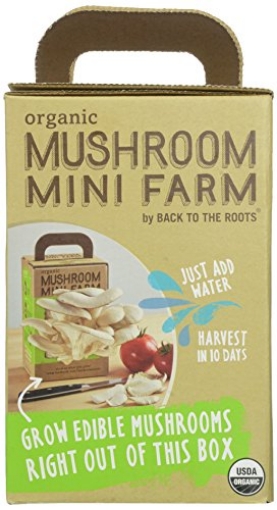 Picture of BACK TO THE ROOTS INC 1200100 Back to the Roots Mushroom Mini Farm, 32.0 Ounce (EA)