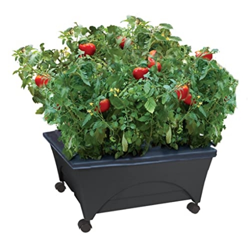 Picture of CITY PICKERS 2340DW Emsco Group City Picker Raised Bed Grow Box – Self Watering and Improved Aeration – Mobile Unit with Casters (EA)