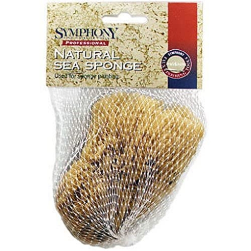 Picture of THE SHERWIN-WILLIAMS COMPANY 503192400 Purdy 503192400 4-Inch-5-Inch SM NAT Sea Sponge,Small (EA)