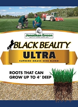 Picture of JONATHAN GREEN & SONS INC 10321 Jonathan Green 10321 Black Beauty Ultra Grass Seed Mix, 3 Pounds (EA)