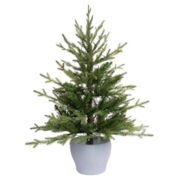 Picture of Celebrations T3FFWMA Celebrations 3 ft. Full LED 50 ct Fraser Fir Potted Color Changing Porch Bush (EA)